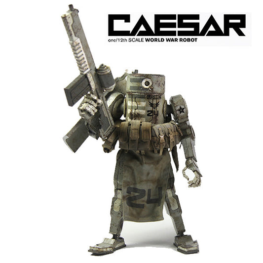 Caesar USMC WWRp ThreeA 1/12 scale figure